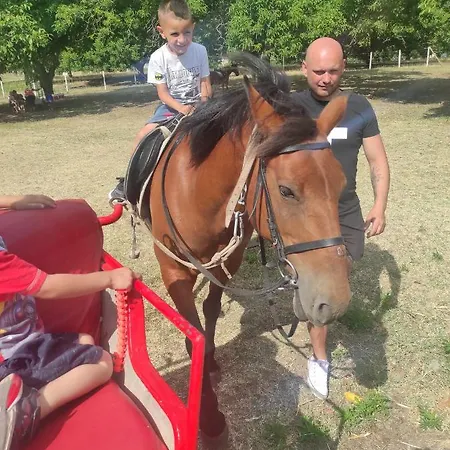 In Sun Waves Appartamento *