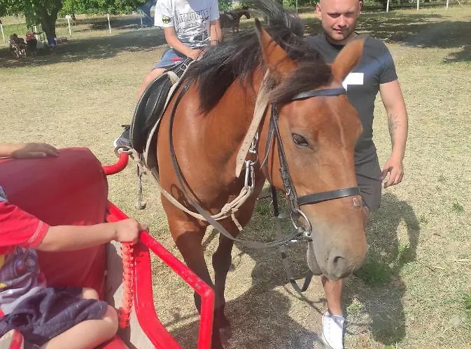 In Sun Waves شقة *